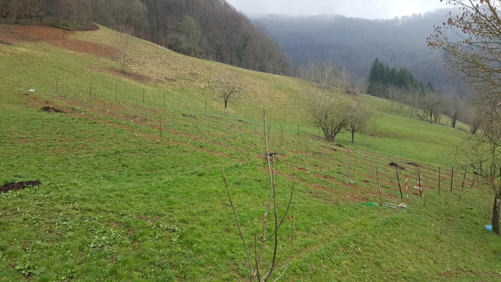 Pensjonat Casa Vecia Bracca Zewnętrze zdjęcie